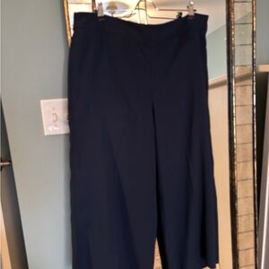 Madewell Navy Wide Leg Women's Pants